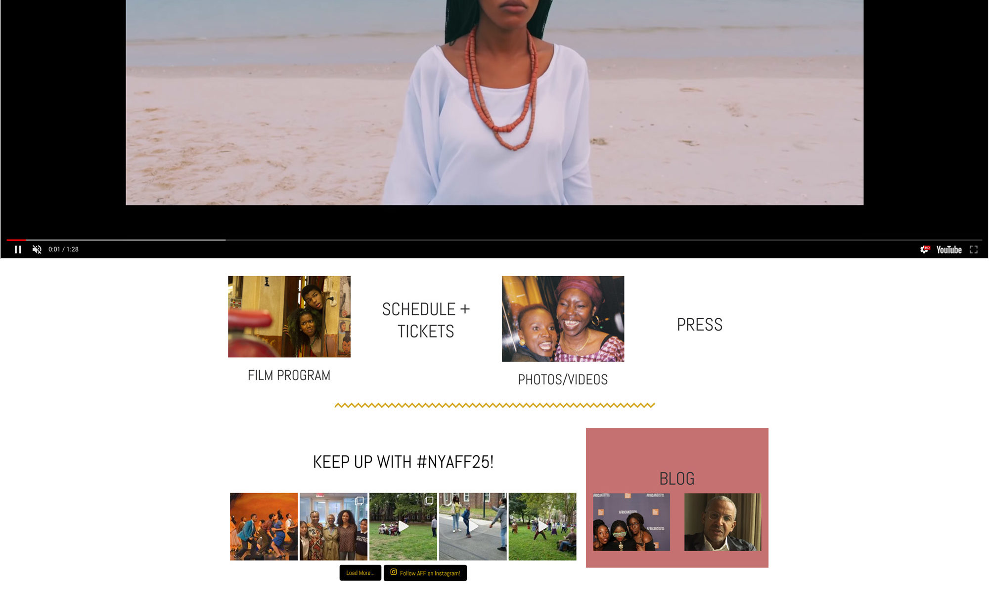 African Film Festival 2018 site